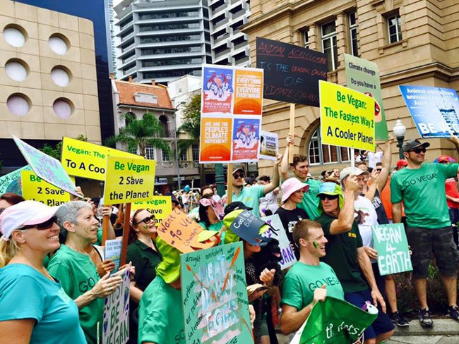 QLD.jpg