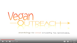 VeganOutreachYoutube.jpg