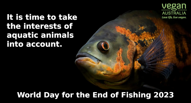 World Day for the End of Fishing 2023