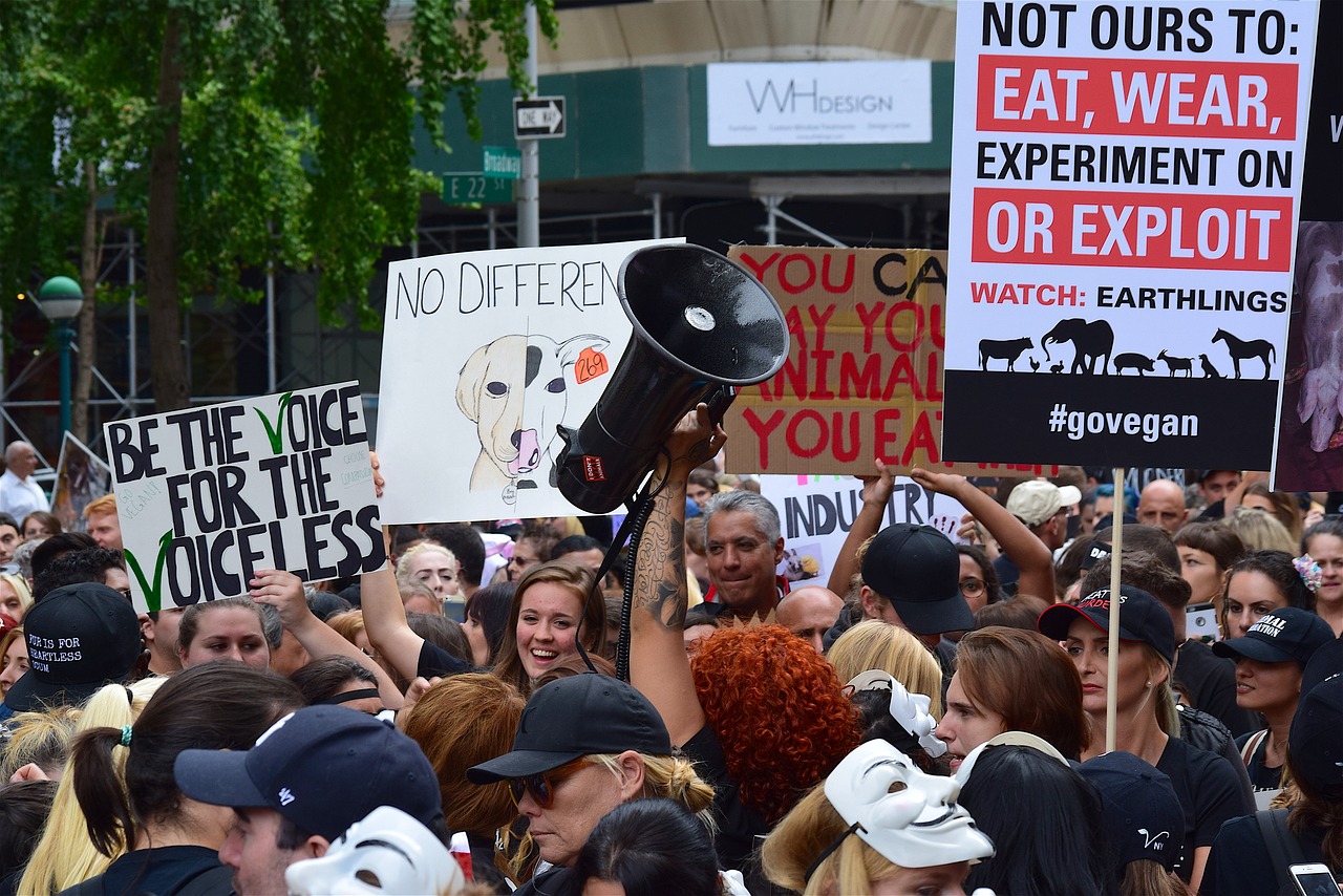 vegan animal rights protest