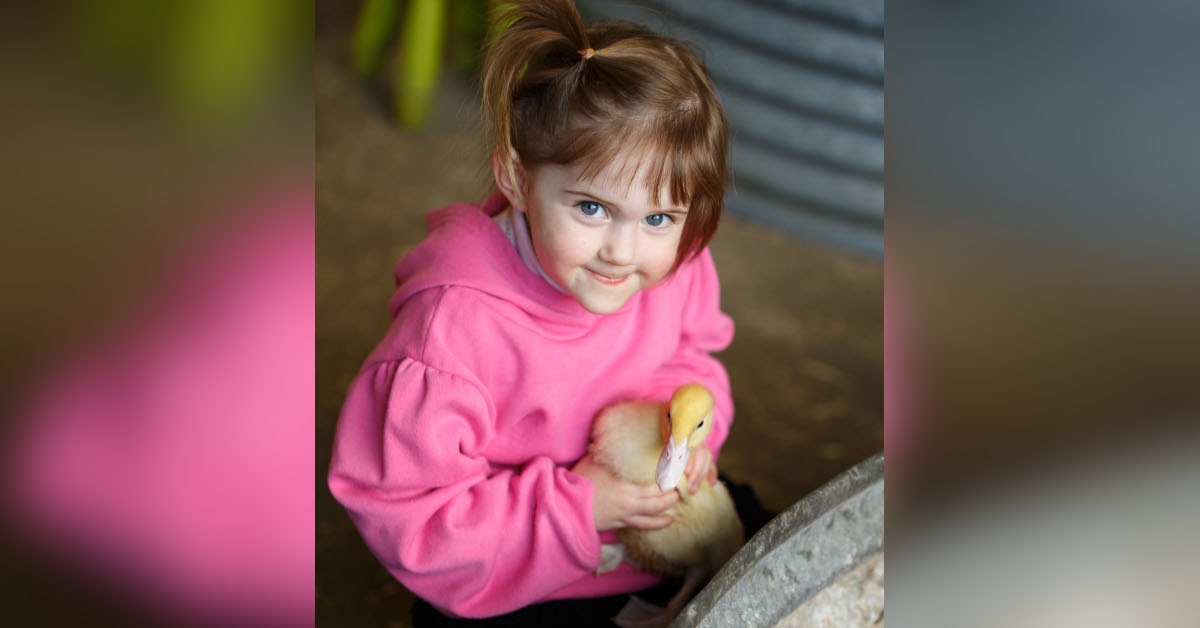 Why childhood may be the ideal period for vegan education